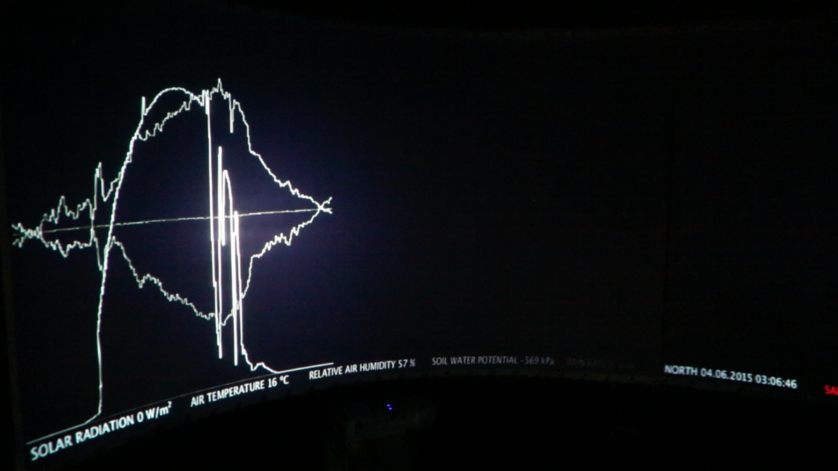 trees_data_visualisation
