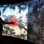 trees_interaction